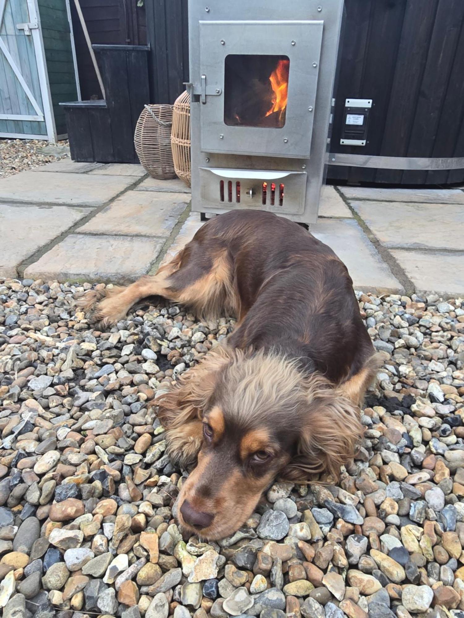Birch Cottage With Private Wood Fire Hot Tub Harrietsham Exterior foto